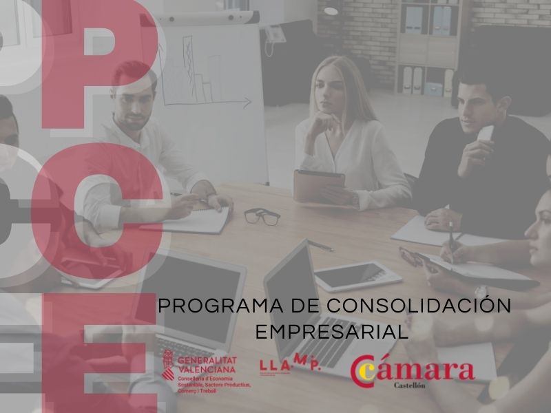 Programa de Consolidación Empresarial. Castellón